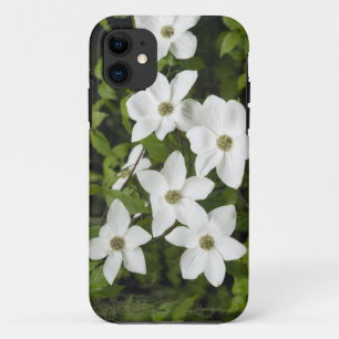 Case-Mate iPhone Case États-Unis, Washington, Pacific Dogwood, Cornus