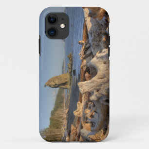 Coque iPhone 11 États-Unis, Washington, Parc National Olympique, 