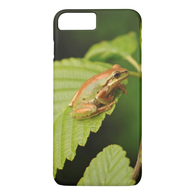 Coques Case-Mate iPhone États-Unis, Washington, Seattle, Discovery Park (Dos)