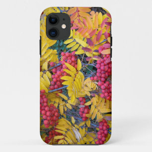 Coque iPhone 11 États-Unis, Washington, Sorbus de l'Ouest, Okanoga