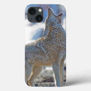 iPhone 13 Case États-Unis, Wyoming, Parc national de Yellowstone,
