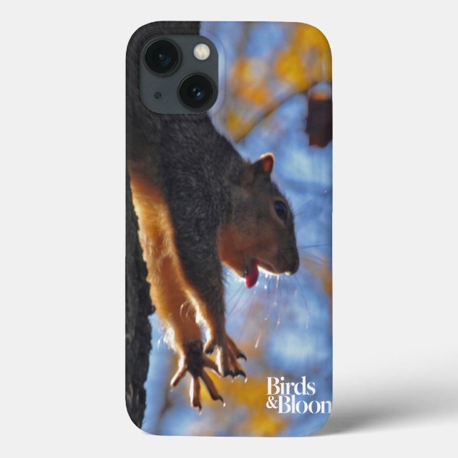 Coques Case-Mate iPhone Étiquetage écureuil (Verso)