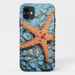 Coque iPhone 11 Étoiles de mer sur un corail avec Polips