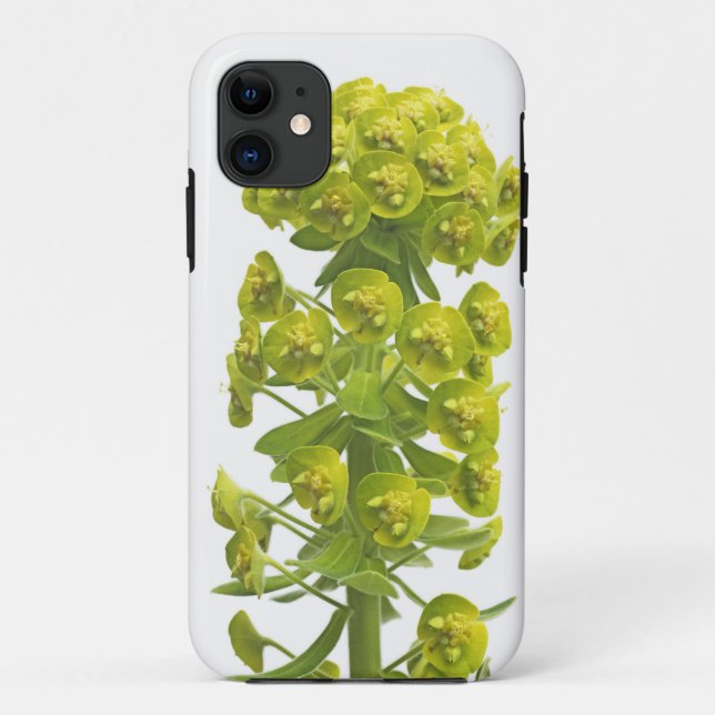 Coques Case-Mate iPhone Euphorbe (Dos)
