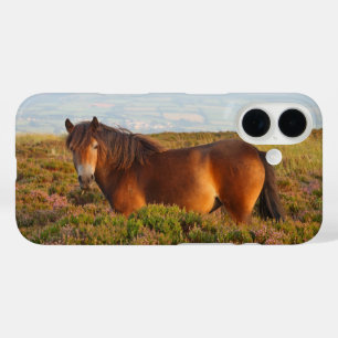 Coques iPhone 16 Exmoor pony, cheval, Somerset, Angleterre