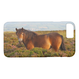 Case-Mate iPhone Case Exmoor pony, cheval, Somerset, Angleterre