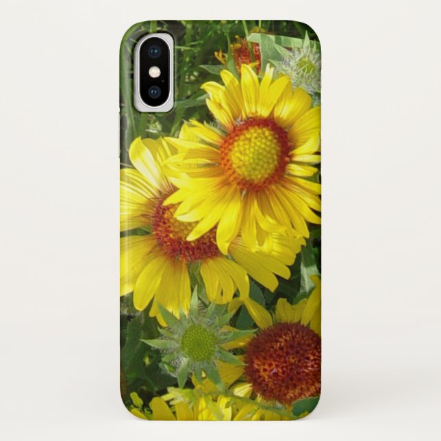 Coques Case-Mate iPhone F6 Fleurs sauvages jaunes Gaillardia (Dos)
