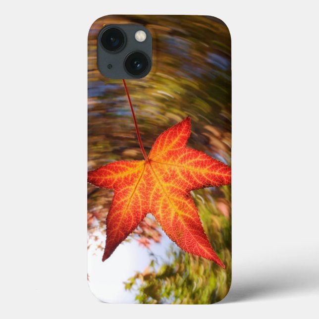 Coques Case-Mate iPhone Falling Leaf d'un arbre en automne (Verso)