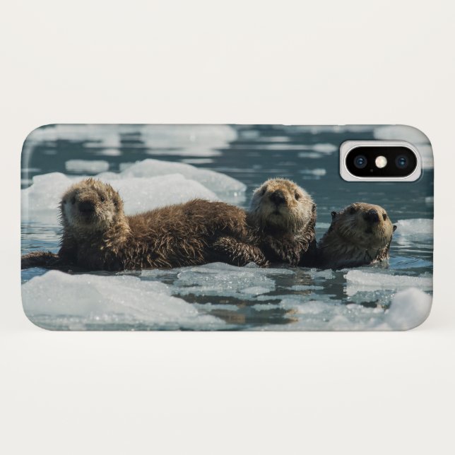 Coques Case-Mate iPhone Famille de loutres de mer (Dos (Horizontal))