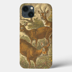 iPhone 13 Case Famille de Roe - Cerfs dans une forêt