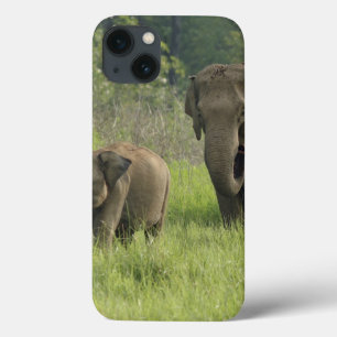 Case-Mate iPhone Case Famille d'éléphants indiens