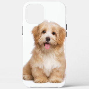 Case-Mate iPhone Case Family Chien Your Pet Photo