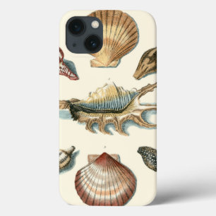 iPhone 13 Case Fancy Shell Beach