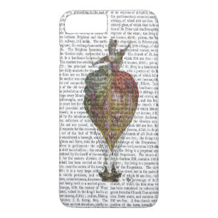 Coques Pour iPhone Femme de ballon à air chaud 3