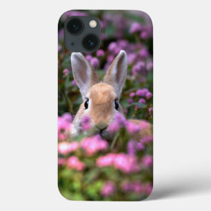 iPhone 13 Coque Ferme de lapins