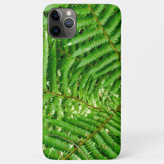 Case-Mate iPhone Case Fermes des bois