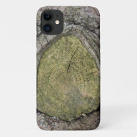 Fermeture du talon de branche de l'arbre