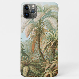 Case-Mate iPhone Case Ferns, Filicinae Laubfarne par Ernst Haeckel