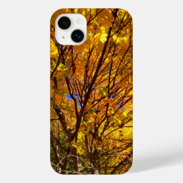 Coque Pour iPhone 14 Plus Feuillage de automne jaune