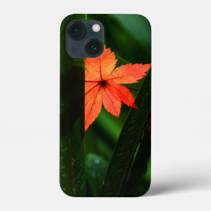 Coques Pour iPhone Feuille d'érable japonais