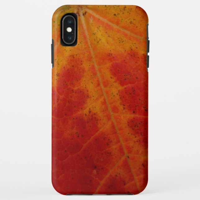 Coques Case-Mate iPhone Feuille d'érable rouge Abstraite Automne Photograp (Dos)
