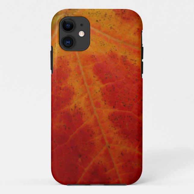 Coques Case-Mate iPhone Feuille d'érable rouge Abstraite Automne Photograp (Dos)