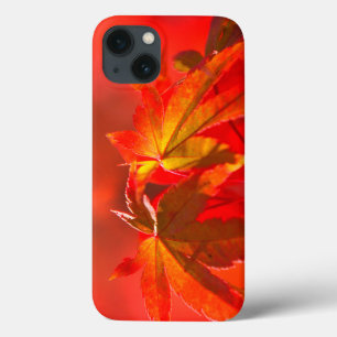 iPhone 13 Case Feuille japonais