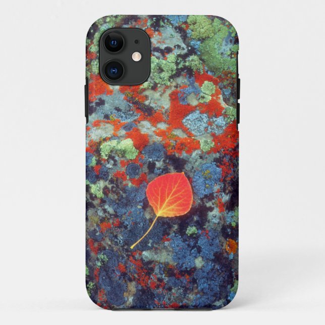 Coques Case-Mate iPhone Feuilles d'Aspen sur un rocher recouvert de lichen (Dos)