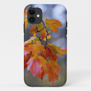 Coque Case-Mate Pour iPhone Feuilles d'automne