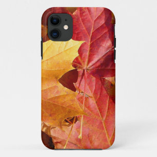 Coque iPhone 11 Feuilles d'automne - Etonnant!