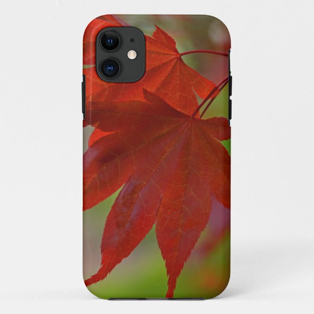 Coques Case-Mate iPhone Feuilles de l'arbre rouge (Dos)