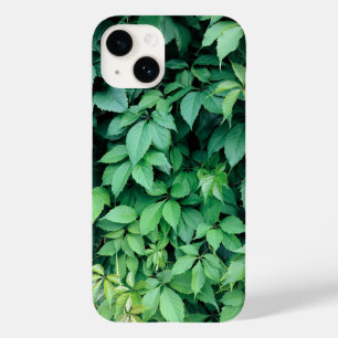 Coque Pour iPhone 14 Feuilles de raisins verts