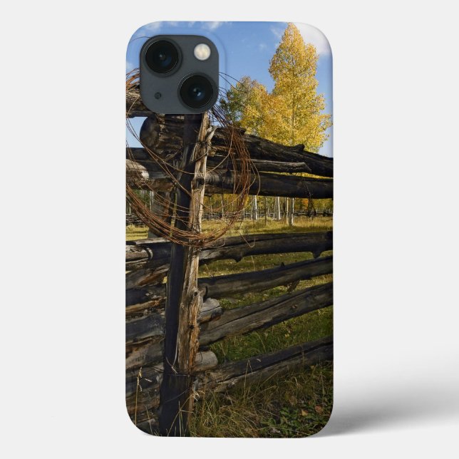 Coques Case-Mate iPhone Fil Barbe (Verso)
