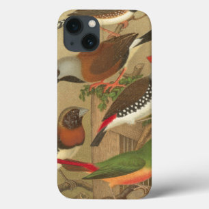 iPhone 13 Coque Five Colorful Pet Birds Perched on a Branch