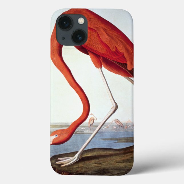 Coques Case-Mate iPhone Flamant rose américain (Verso)