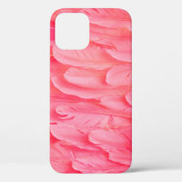 Flamant rose rose Feathersflamingo, plume, rose, t