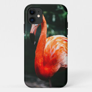 Case-Mate iPhone Case Flamingo