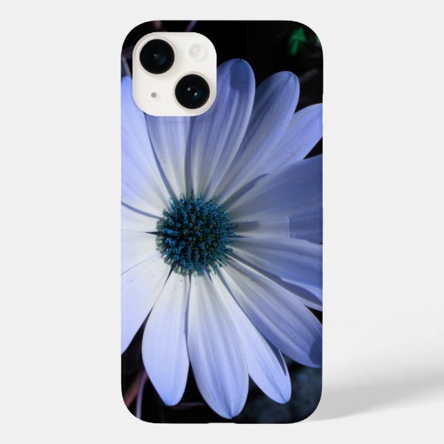 Coques Case-Mate iPhone Fleur bleu marguerite (Verso)