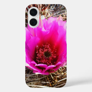 Coques iPhone 16 Fleur de Cactus en Fleur (Figue de Barbarie)