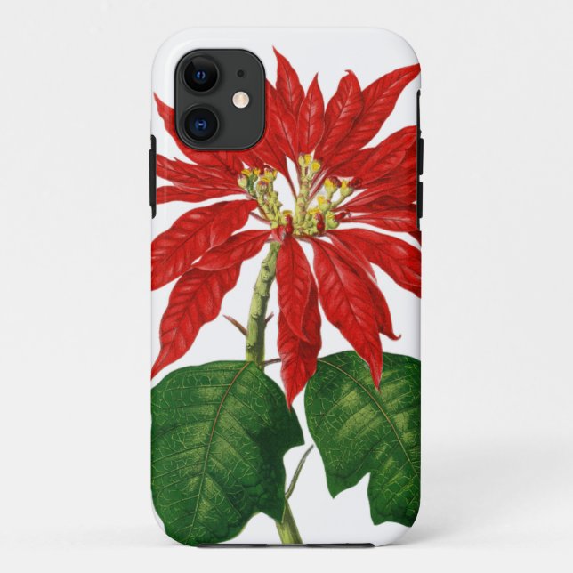 Coques Case-Mate iPhone Fleur de Noël (Dos)