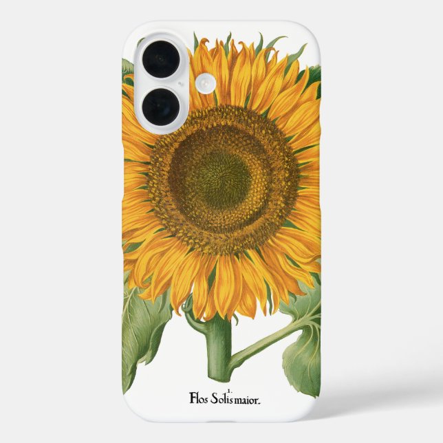 Coques Case-Mate iPhone Fleur de tournesol vintage par Basilius Besler (Verso)