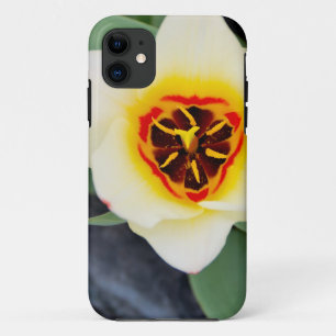 Case-Mate iPhone Case Fleur de tulipe