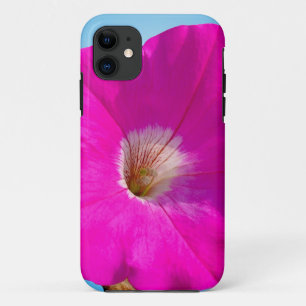 Coques Pour iPhone fleur pétunia rose en arrière - plan bleu.
