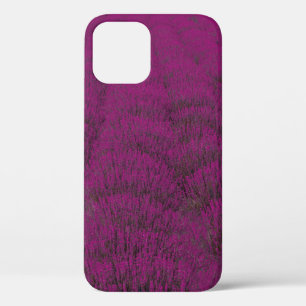 Case-Mate iPhone Case Fleur rose pétée