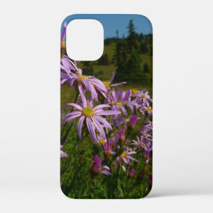 Case-Mate iPhone Case Fleurs d'aster violet au Mont Rainier