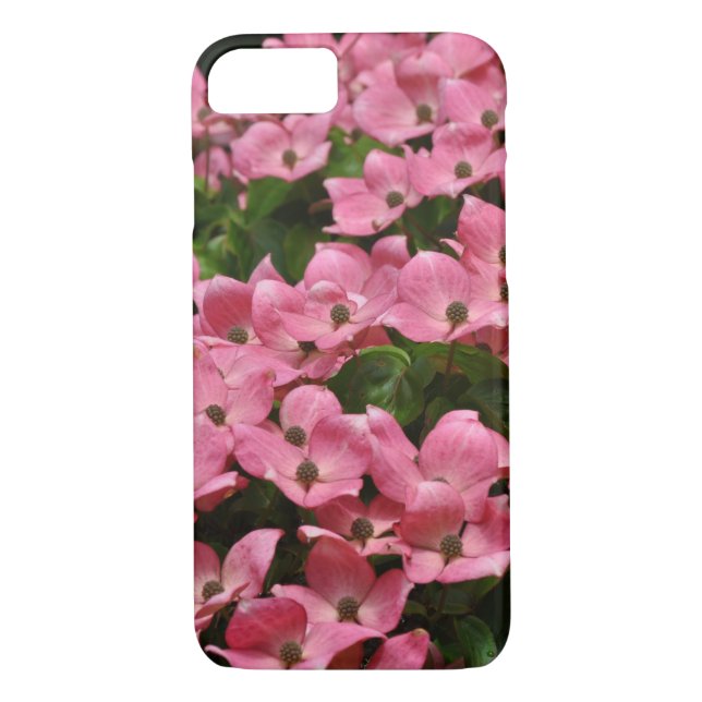Coques Case-Mate iPhone Fleurs de bois de kousa rose (Dos)