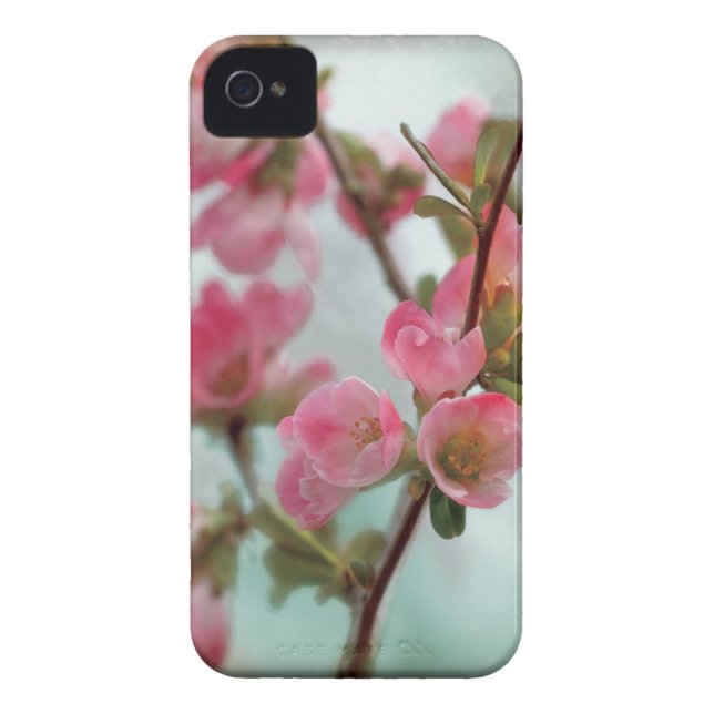Coques Case-Mate iPhone Fleurs de coing (Dos)