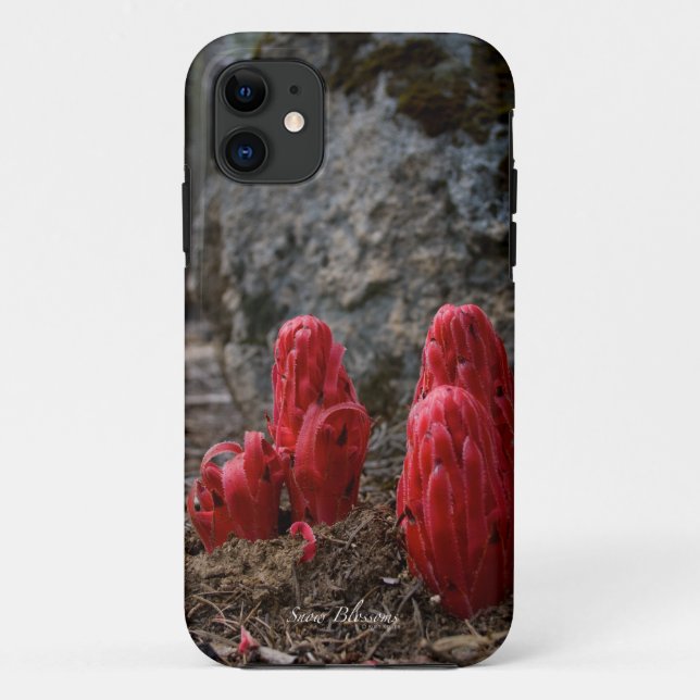 Coques Case-Mate iPhone Fleurs de neige (Dos)