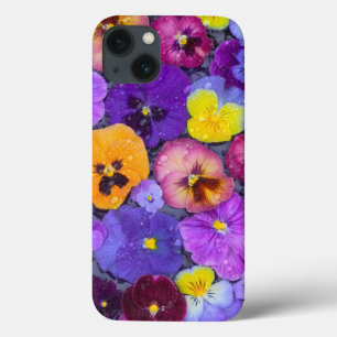 Coques Pour iPhone Fleurs de pensée flottant dans un bain d'oiseaux a