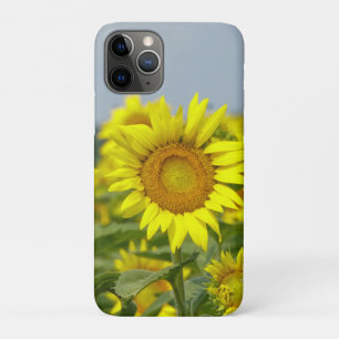 Case-Mate iPhone Case Fleurs de soleil